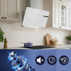 hotte decorative