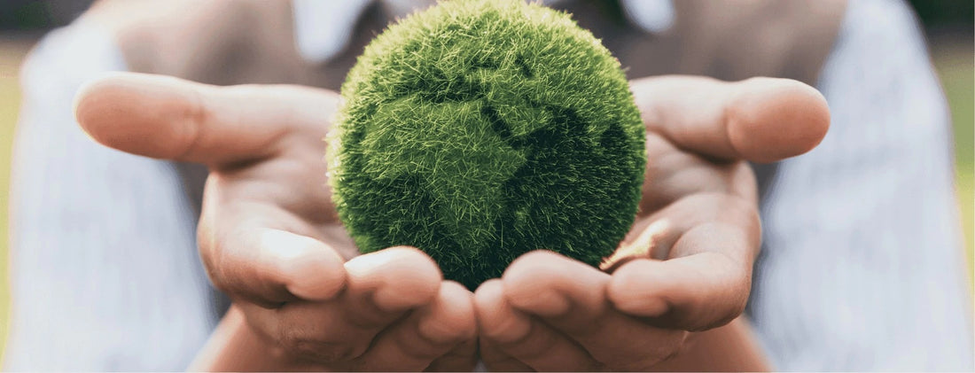 INNOVATION DURABLE & VIE VERTE