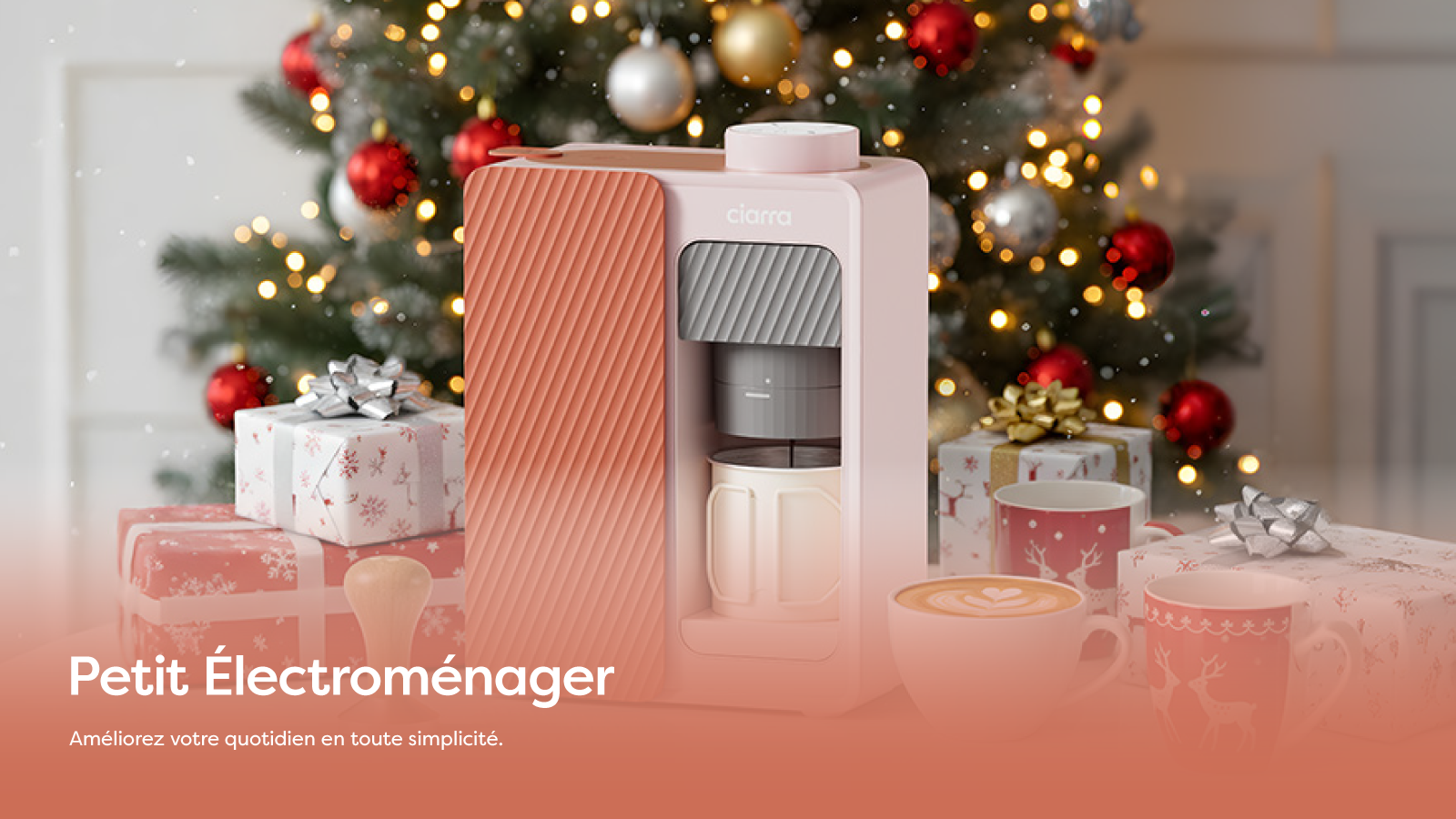 Petit électroménager